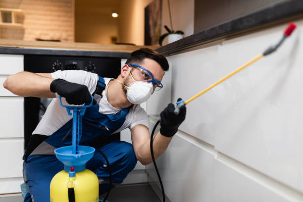 Best Affordable Pest Control Services  in Stevenson, AL