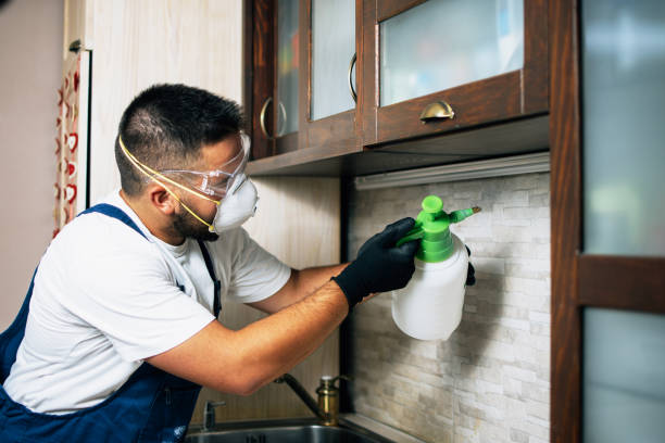 Pest Control for Restaurants in Stevenson, AL