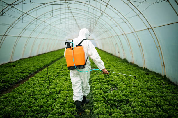 Best Mosquito Control Services  in Stevenson, AL