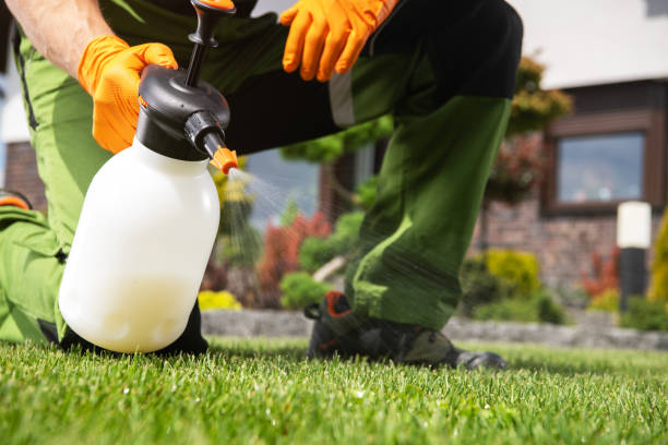 Best Emergency Pest Control  in Stevenson, AL