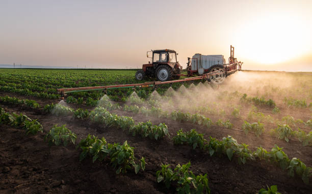 Insect Control in Stevenson, AL