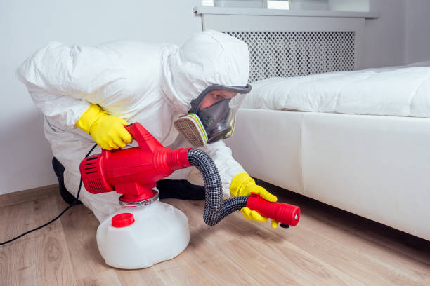 Best Bed Bug Extermination  in Stevenson, AL