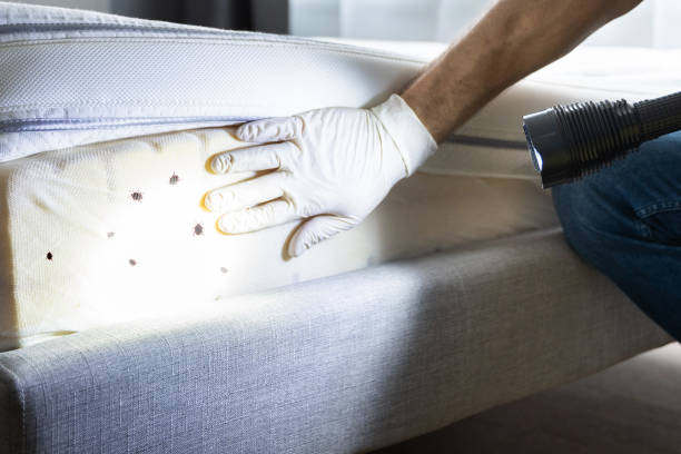 Best Best Pest Control Companies  in Stevenson, AL