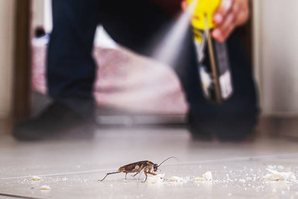 Best Cockroach Control Services  in Stevenson, AL