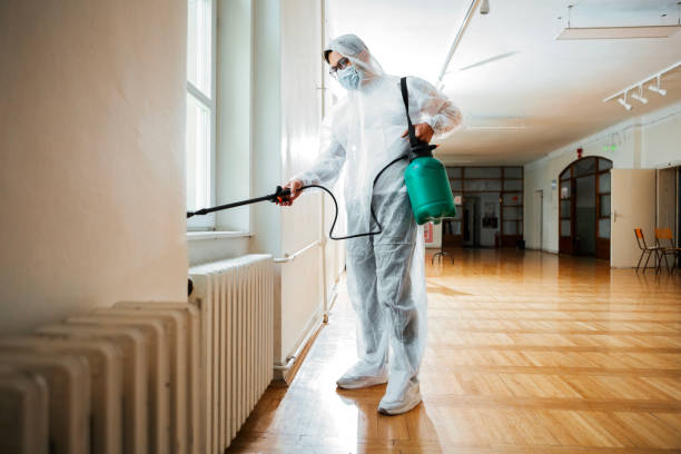 Flea Control Services in Stevenson, AL