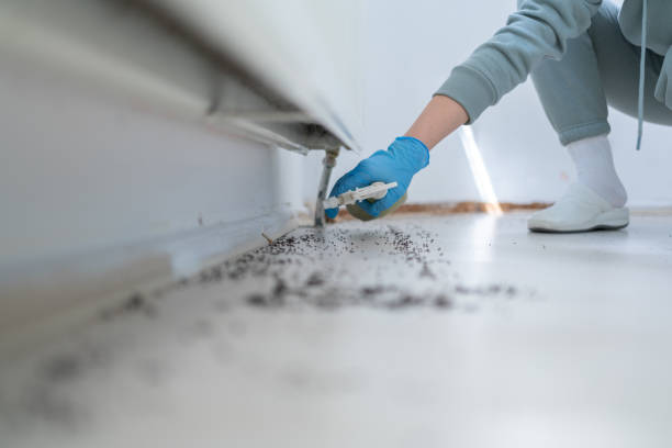 Best Wildlife Control Services  in Stevenson, AL